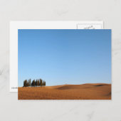 Toskana-Landschaft mit Zypressen auf Postkarte (Vorne/Hinten)