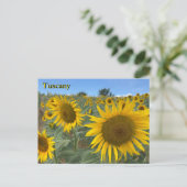 Toskana Sonnenblumen Postkarte (Stehend Vorderseite)