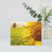 Toskana Sonnenblumen Postkarte (Stehend Vorderseite)