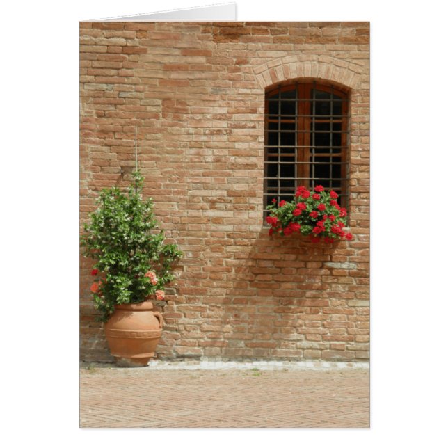 Toskana-Topf-Pflanzen (Vorne)