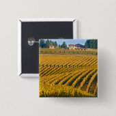 Toskanisch aussehendes Black Walnut Inn oberhalb d Button (Vorne & Hinten)