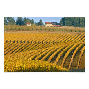 Toskanisch aussehendes Black Walnut Inn oberhalb d Fotodruck