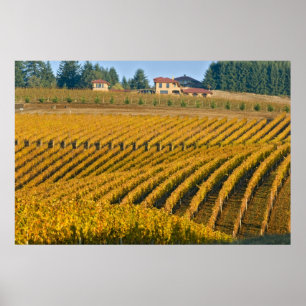 Toskanisch aussehendes Black Walnut Inn oberhalb d Poster