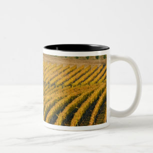 Toskanisch aussehendes Black Walnut Inn oberhalb v Zweifarbige Tasse