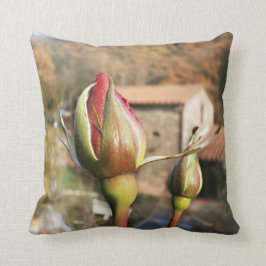 Toskanische Herbst-Rose. Toskana Kissen