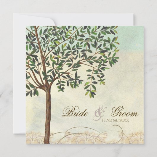 Toskanischer Olivenbaum im Swirl - Einladung zur H (Rückseite)