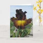 "TOSKANISCHER SOMMER-" RAUM-IRIS-GRUSS-KARTE KARTE (Gelbe Blume)