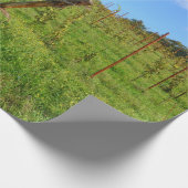 Toskanischer Weinberg Geschenkpapier (Ecke)