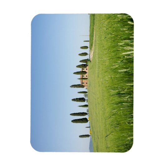 Toskanisches Bauernhaus mit Zypressen, rechteckige Magnet (Vertikal)