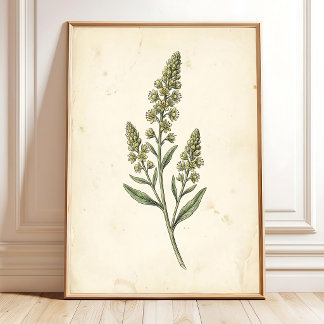 Toskanisches botanisches Landhaus-Wandbild Poster