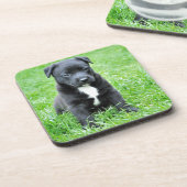 Totadorable Welpe Getränkeuntersetzer (Linke Seite)