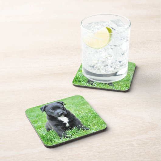 Totadorable Welpe Getränkeuntersetzer (Rechte Seite)