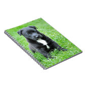 Totadorable Welpe Notizblock (Rechte Seite)