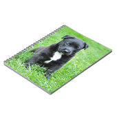 Totadorable Welpe Notizblock (Linke Seite)