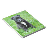 Totadorable Welpe Notizblock (angewinkelt)