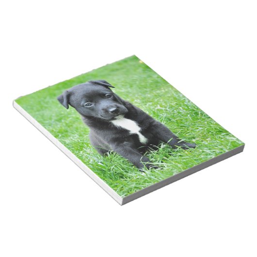 Totadorable Welpe Notizblock (angewinkelt)