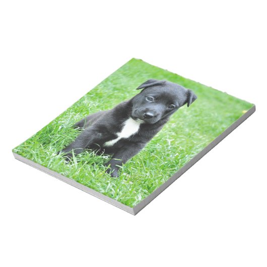 Totadorable Welpe Notizblock (Rotiert)