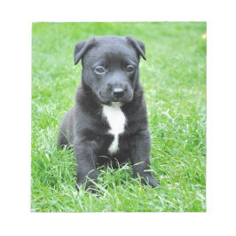 Totadorable Welpe Notizblock