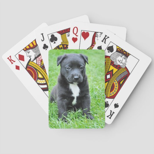 Totadorable Welpe Spielkarten (Rückseite)