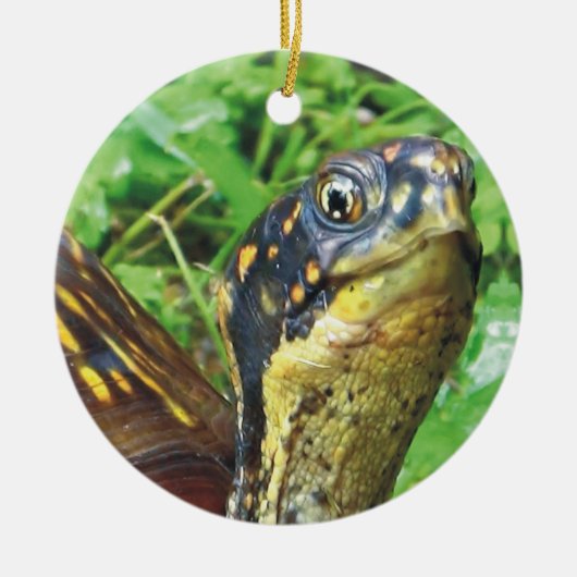 Total Schildkröte-Schildkröte-Weihnachtsverzierung Keramik Ornament (Vorne)