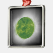 Total Solar Eclipse Green Corona Silbernes Ornament (Links)