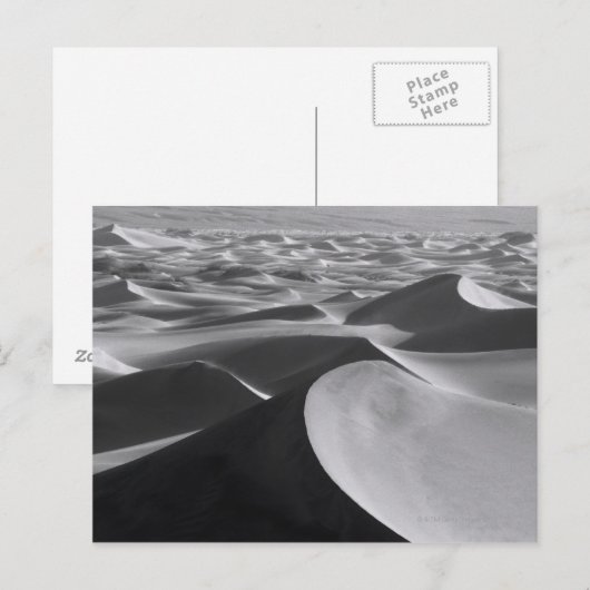 Totallandschaft Postkarte (Vorne/Hinten)