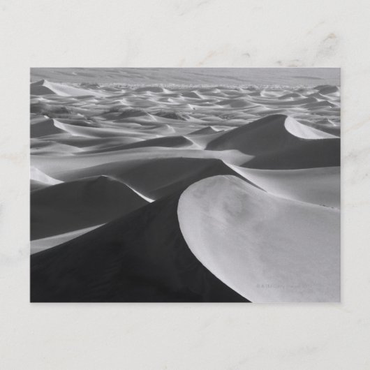 Totallandschaft Postkarte (Vorderseite)