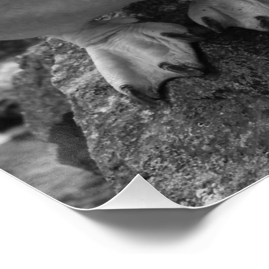 Tote Bag Poster (Ecke)