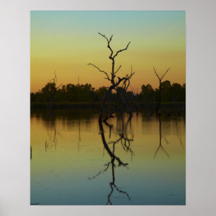 Tote Bäume spiegeln sich in Lily Creek Lagoon, Mor Poster