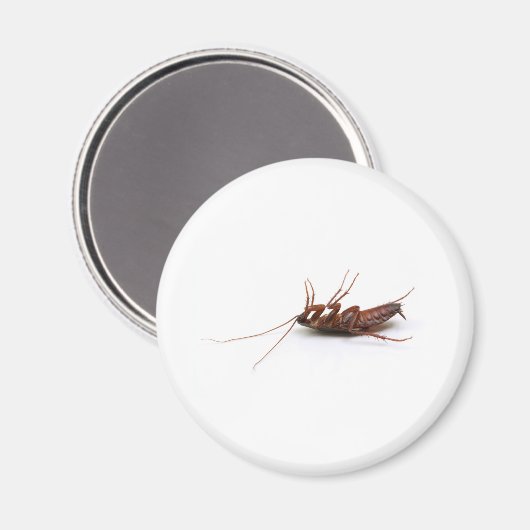 Tote Kakerlake Magnet (Vorderseite/Rückseite)