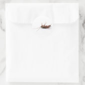 Tote Kakerlake Runder Aufkleber (Tasche)