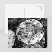 Tote Kaktus Postkarte (Vorne/Hinten)