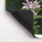 Tote Lily im Scheinwerferlicht. Mousepad (Ecke)