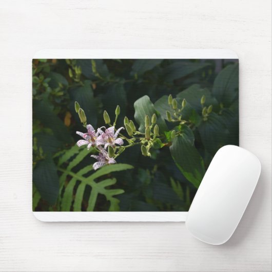 Tote Lily im Scheinwerferlicht. Mousepad (Mit Mouse)