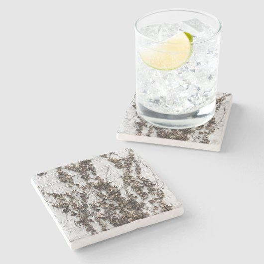 Tote Reben Steinuntersetzer (Seitenansicht)