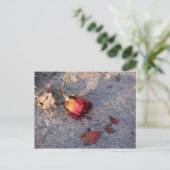 Tote Rose (Farbe) Postkarte (Stehend Vorderseite)
