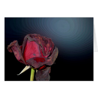Tote Rosen 1