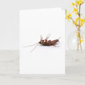 Tote Schabe Karte (Gelbe Blume)