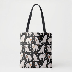 Tote Tasche mit den Knochen aus den Pyrenäen