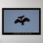 TOTEM FLIGHT ~ Foto Poster (Vorne)