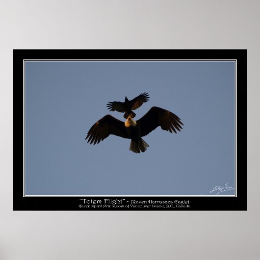 TOTEM FLIGHT ~ Foto Poster (Vorne)