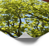 Totem-Pole-Plakat Poster (Ecke)