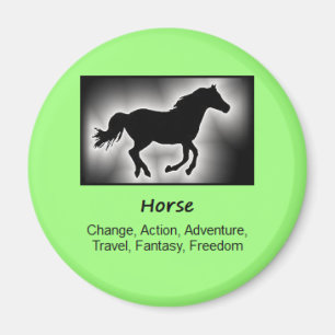 Totem Tier Sinn Magnet