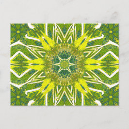 TOTEM-WILDBLUME 13 POSTKARTE