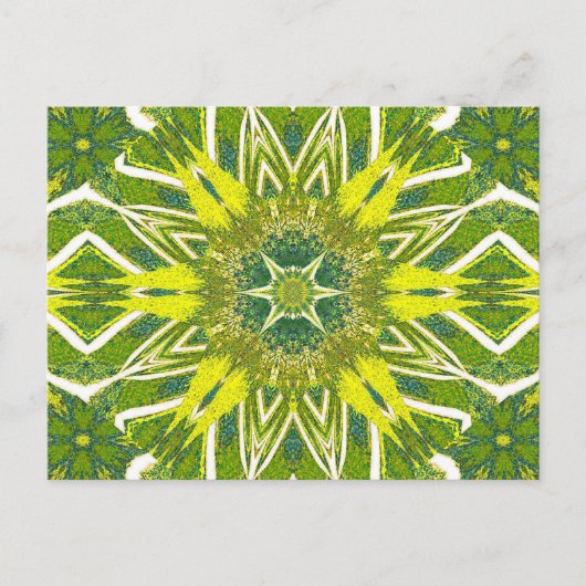 TOTEM-WILDBLUME 13 POSTKARTE (Vorderseite)