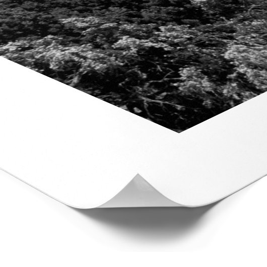 Totenbaum Poster (Ecke)