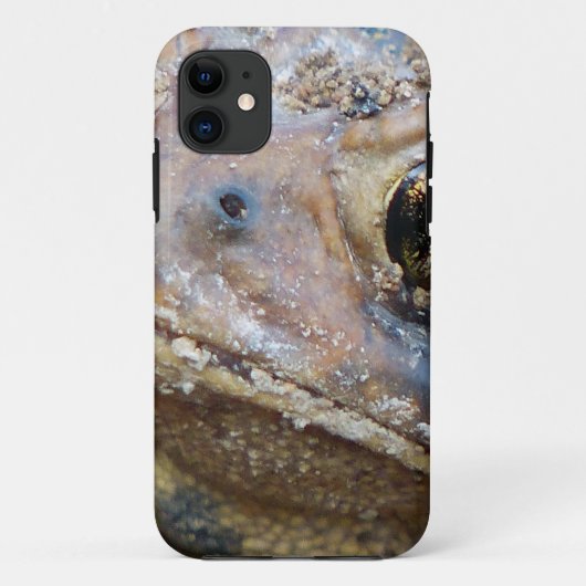 Totenfläche Case-Mate iPhone Hülle (Rückseite)