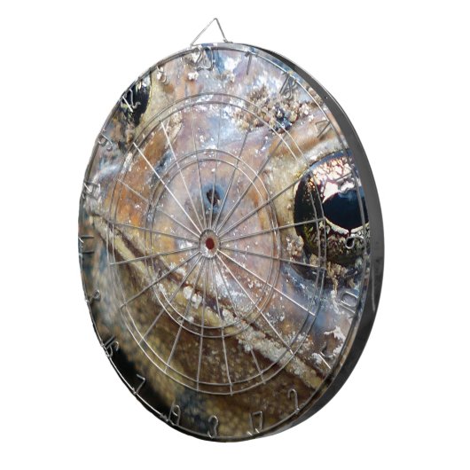 Totenfläche Dartscheibe (Vorderseite rechts)