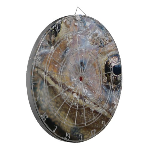 Totenfläche Dartscheibe (Vorderseite Links)