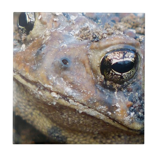 Totenfläche Fliese (Vorderseite)